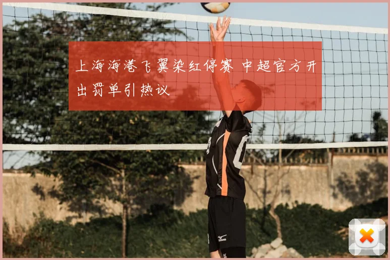 上海海港飞翼染红停赛 中超官方开出罚单引热议