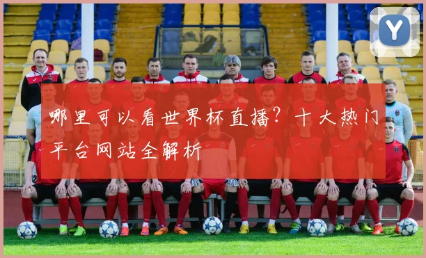 哪里可以看世界杯直播？十大热门平台网站全解析