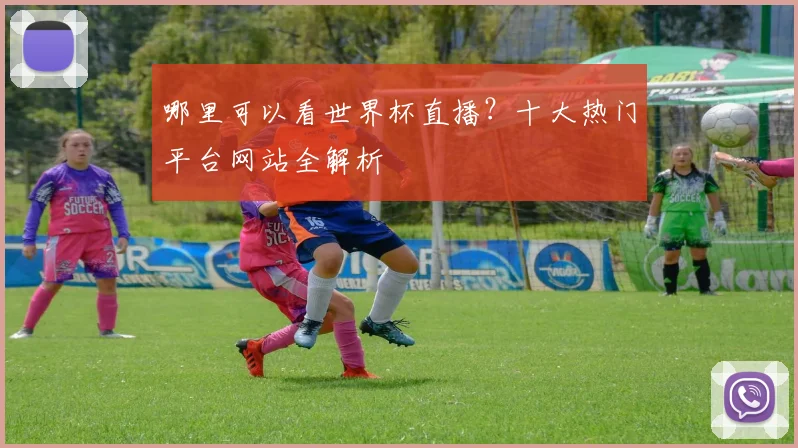哪里可以看世界杯直播？十大热门平台网站全解析